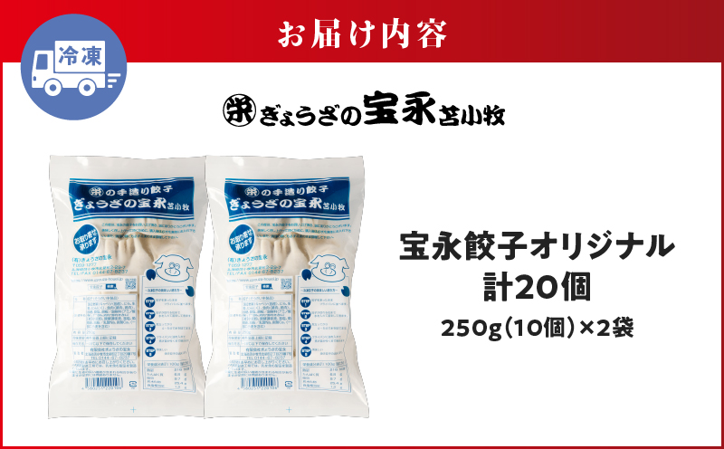 手包み餃子 ぎょうざの宝永 宝永餃子20個セット（宝永餃子10個入×2袋） 惣菜 総菜 ギョウザ 餃子 冷凍餃子 焼き餃子 水餃子 おかず おつまみ つまみ