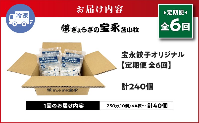【全6回定期便（毎月）】宝永餃子10個入セット（宝永餃子10個入×4袋）合計1.0kg 定期便 定期 惣菜 総菜 ギョウザ 餃子 冷凍餃子 焼き餃子 水餃子 おかず