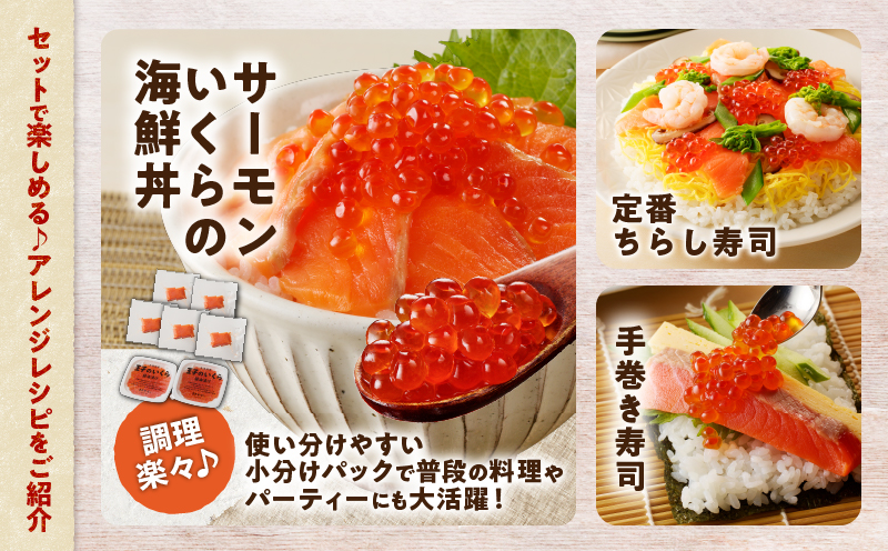 【全3回定期便（4ヶ月毎）】【王子サーモン】生を超えた「とろ生サーモン」と北海道産秋鮭 いくら醤油漬セット 計580g 魚 魚介