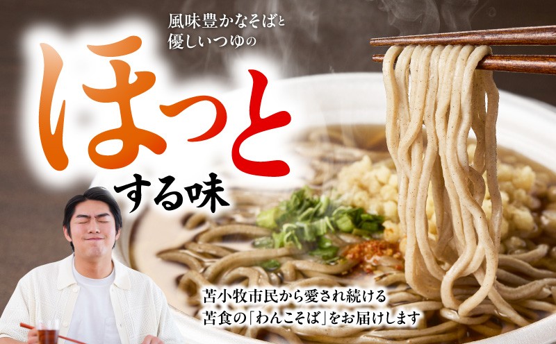 お手軽おそばセット そば 蕎麦 わんこそば 本格そば 苫小牧の味 お手軽そば 昼食 夕食 苫食 ふるさと納税