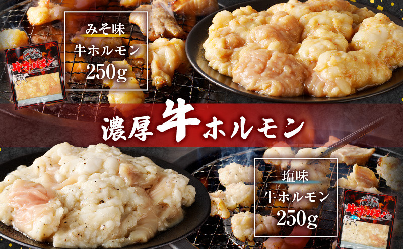 金剛園 特製ホルモンセット 全4種 4パック 合計940g ホルモン 肉 お肉 おにく にく 牛 豚 牛肉 豚肉 うし