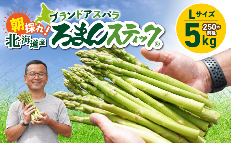 ロマンス農園 ろまんスティック Lサイズ 5kg アスパラガス 野菜 やさい Lサイズ 旨味 うま味 新鮮 やわらかい みずみずしい 糖度