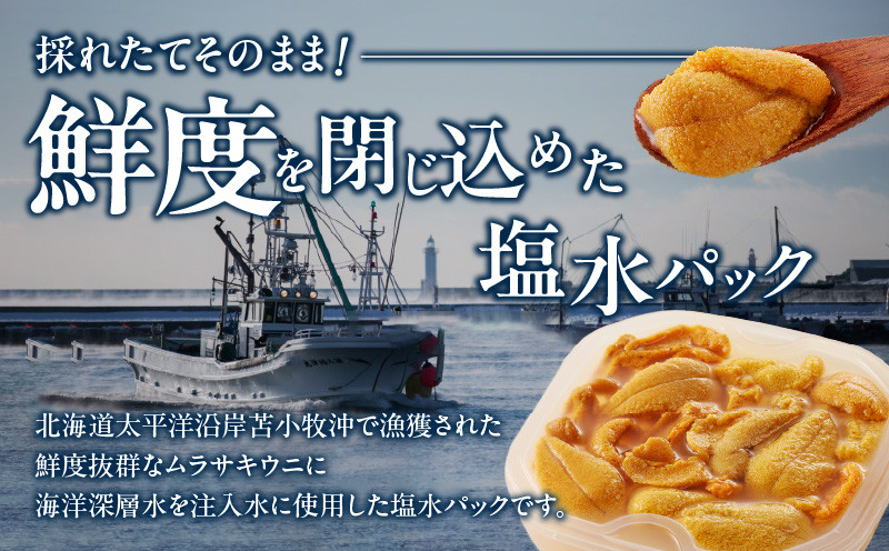 無添加生ムラサキウニ 塩水パック 100g 生ムラサキウニ 生うに うに ウニ 雲丹 無添加 海産物 季節限定 生食用 ムラサキウニ