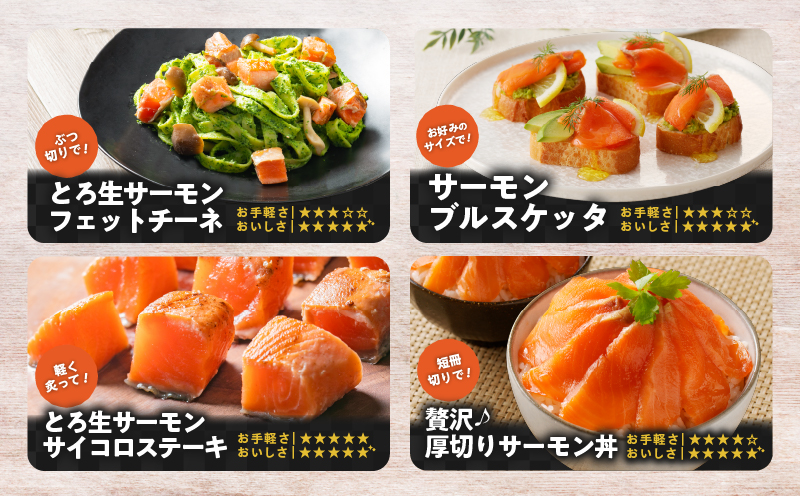【全3回定期便（4ヶ月毎）】【王子サーモン】生を超えた「とろ生サーモン」お刺身用ブロック 1kg 魚 魚介
