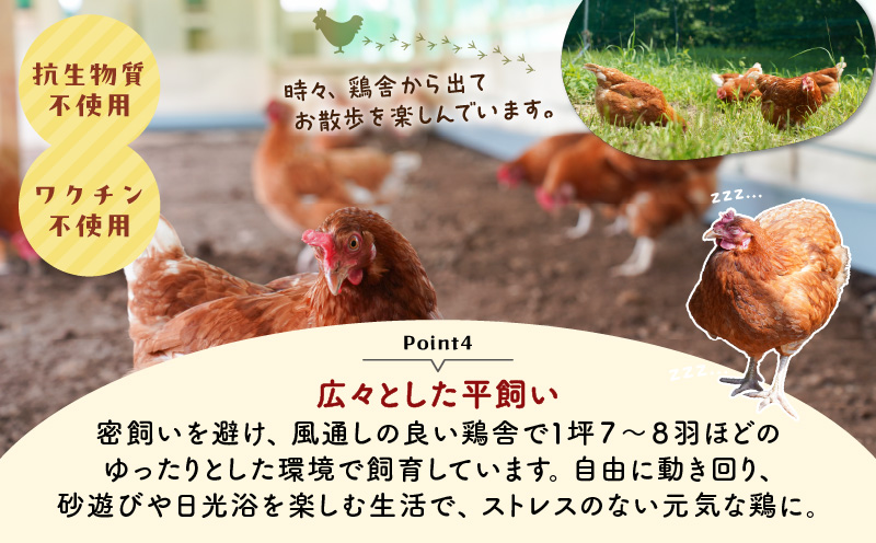 【全3回定期便】訳ありたまご　（たまごトレー） 定期便 定期 訳あり卵 訳あり 卵 卵かけごはん HokkaidoGreenCompany ふるさと納税 北海道 苫小牧市