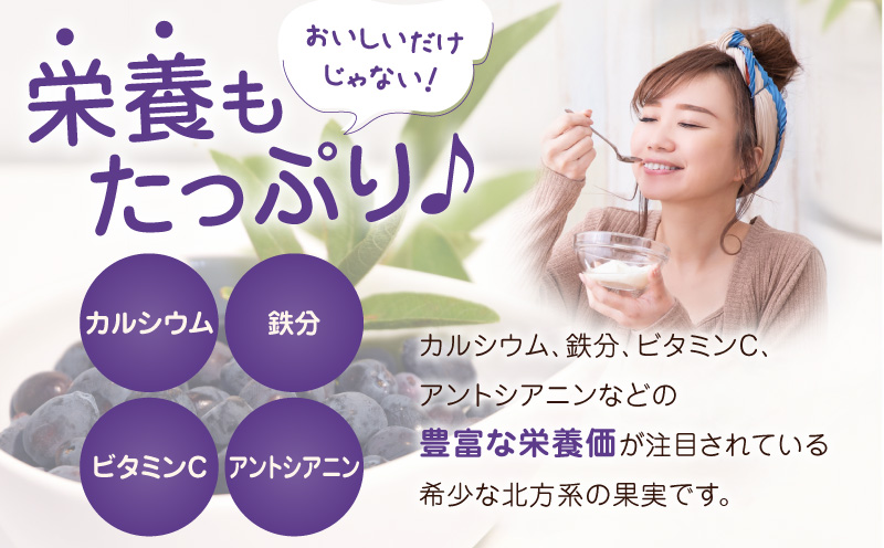 カナダ産 苫小牧市民還元 ハスカップジャム 435g（1瓶） ハスカップ ジャム スイーツ フルーツ 無農薬 食パン ヨーグルト トースト クラッカー 甘い
