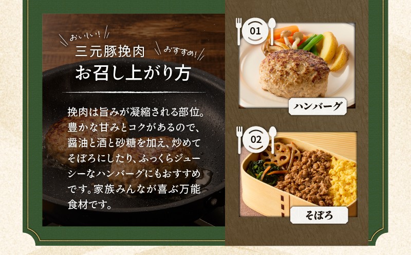 【全3回 毎月定期便】日本の米育ち平田牧場三元豚ひき肉 600g 定期便 定期 肉 お肉 にく 豚 豚肉 ブタ ぶた 三元豚