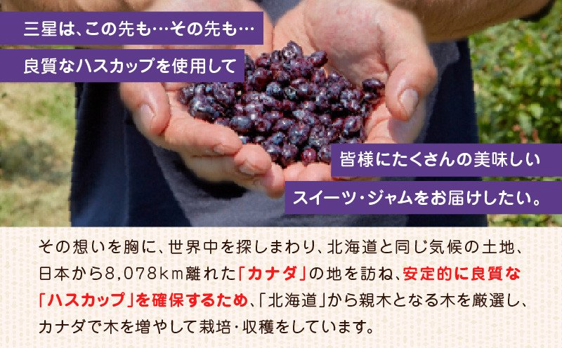 【よいとまけ 10個】ひと切れ 個包装 カステラ ハスカップ 菓子 ジャム ロールカステラ 和菓子 スイーツ ご当地スイーツ お土産 よいとまけ