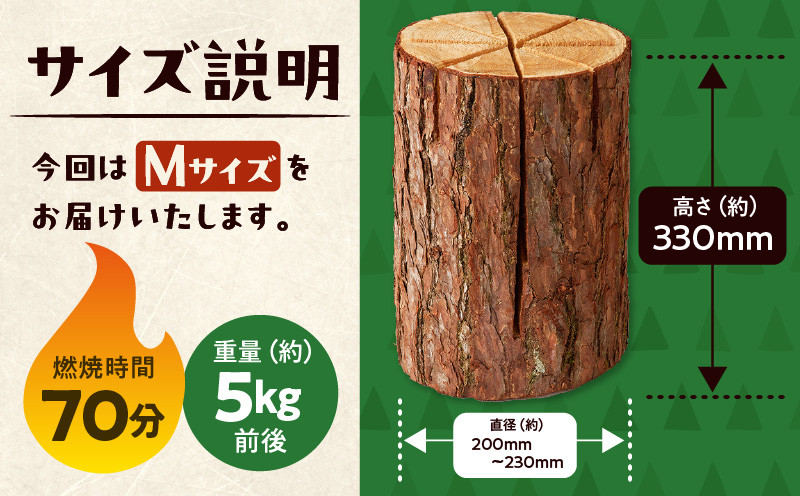 【5営業日以内に発送】【スウェーデントーチ Mサイズ×2本】 乾燥 カラマ ツ材 スウェーデントーチ 北海道産 焚火 キャンプアイテム 火起こし 調理用 簡単