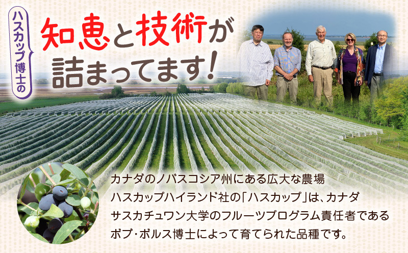 苫小牧市民還元 ハスカップジャム ハスカップ ジャム スイーツ フルーツ 無農薬 食パン ヨーグルト トースト クラッカー 甘い