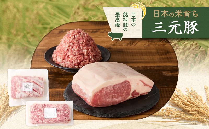 日本の米育ち平田牧場 三元豚ロースブロック（600g）・挽肉（300g）計900g 肉 お肉 にく 豚 豚肉 ブタ ぶた 三元豚 ロースブロック ひき肉