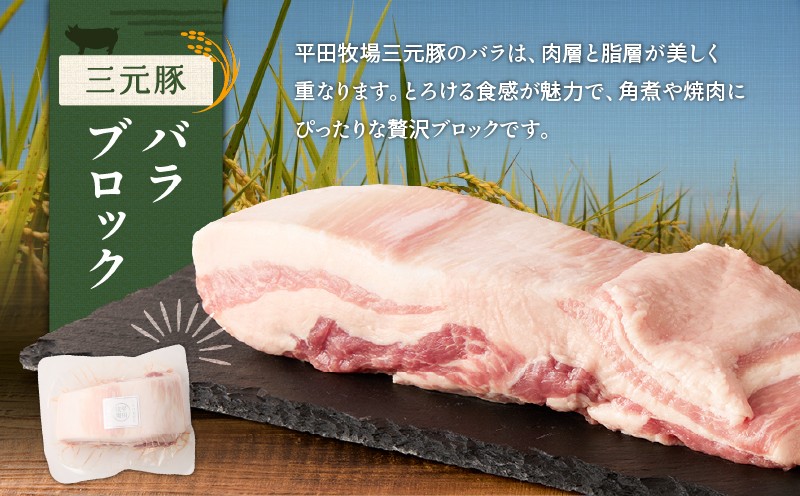 【全12回 毎月定期便】日本の米育ち平田牧場三元豚バラブロック 600g・豚ロースブロック 600g・豚挽肉 300g 定期便 定期 肉 お肉 にく 豚 豚肉 ブタ ぶた 三元豚