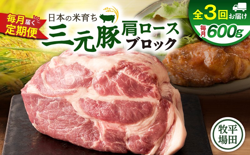 【全3回 毎月定期便】日本の米育ち平田牧場三元豚肩ロースブロック 600g 定期便 定期 肉 お肉 にく 豚 豚肉 ブタ ぶた 三元豚