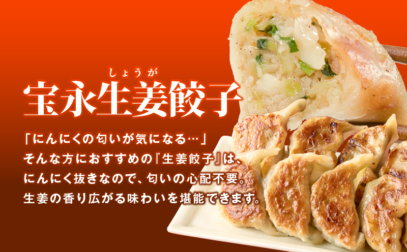 【定期便・全12回 毎月】手包み餃子 ぎょうざの宝永 5種食べ比べセット（65個入） 定期便 定期 惣菜 総菜 餃子 ぎょうざ ギョウザ 冷凍餃子 冷凍 豚