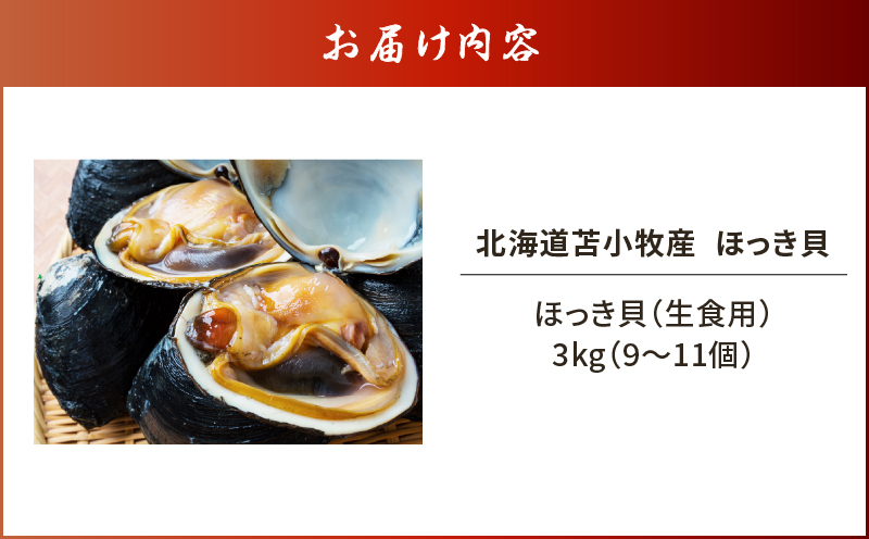 【10営業日以内に発送】北海道苫小牧産 ほっき貝 3kg（9～11個） 貝 貝類 魚介類 魚貝類 北寄貝 ホッキ貝 北寄 ホッキ お刺身 刺身