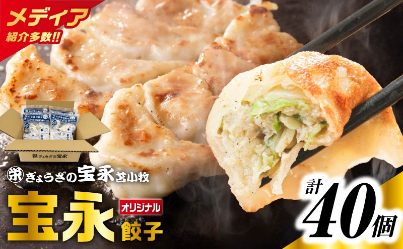 ぎょうざの宝永 宝永餃子10個入セット（宝永餃子10個入×4袋）合計1.0kg 惣菜 総菜 ギョウザ 餃子 冷凍餃子 焼き餃子 水餃子 おかず おつまみ つまみ
