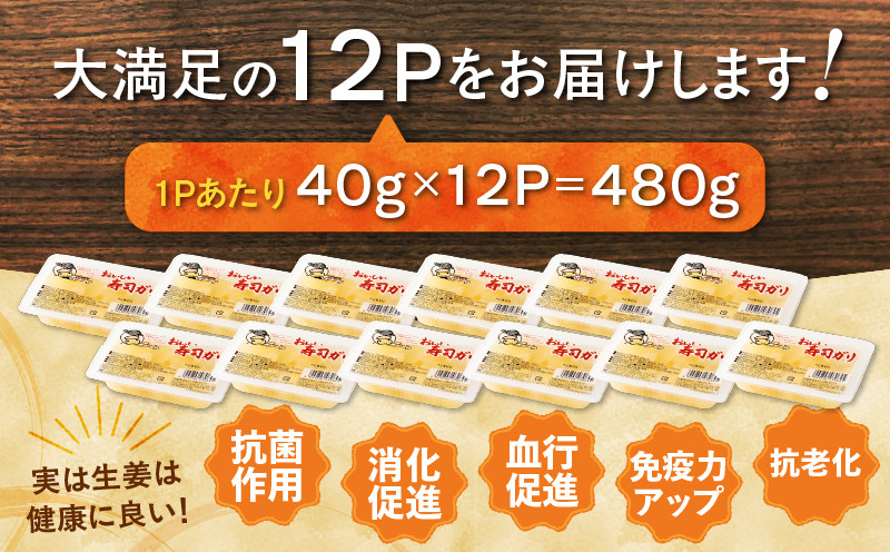 【10営業日以内に発送】おいしい寿司ガリお徳用セット（12個入り） 漬物 お漬物 つけもの 惣菜 総菜 老舗 ガリ お寿司ガリ すし 寿司