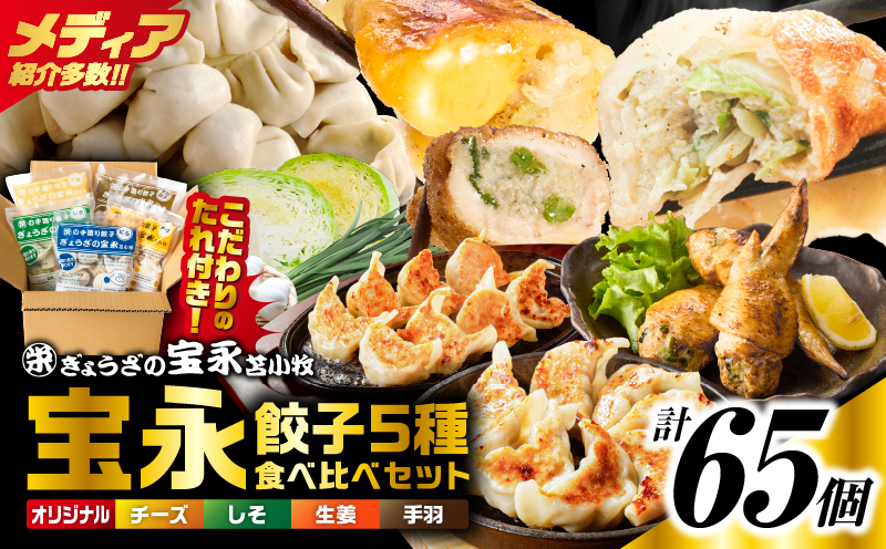 手包み餃子 ぎょうざの宝永 5種食べ比べセット（65個入） 惣菜 総菜 餃子 ぎょうざ ギョウザ 冷凍餃子 冷凍 豚 ブタ 豚肉