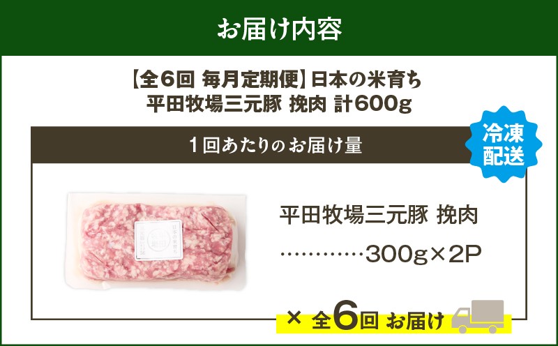 【全6回 毎月定期便】日本の米育ち平田牧場三元豚ひき肉 600g 定期便 定期 肉 お肉 にく 豚 豚肉 ブタ ぶた 三元豚
