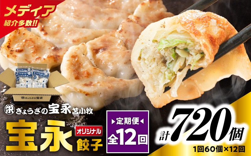 【全12回定期便（毎月）】ぎょうざの宝永 宝永餃子 15個入セット（宝永餃子15個入×4袋）合計1.5kg 定期便 定期 惣菜 総菜 餃子 ぎょうざ ギョウザ 冷凍餃子 冷凍 ぎょうざの宝永