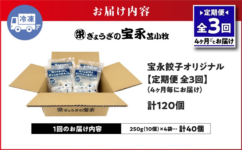 【全3回定期便（4ヶ月毎）】宝永餃子10個入セット（宝永餃子10個入×4袋）合計1.0kg 定期便 定期 惣菜 総菜 ギョウザ 餃子 冷凍餃子 焼き餃子 水餃子 おかず