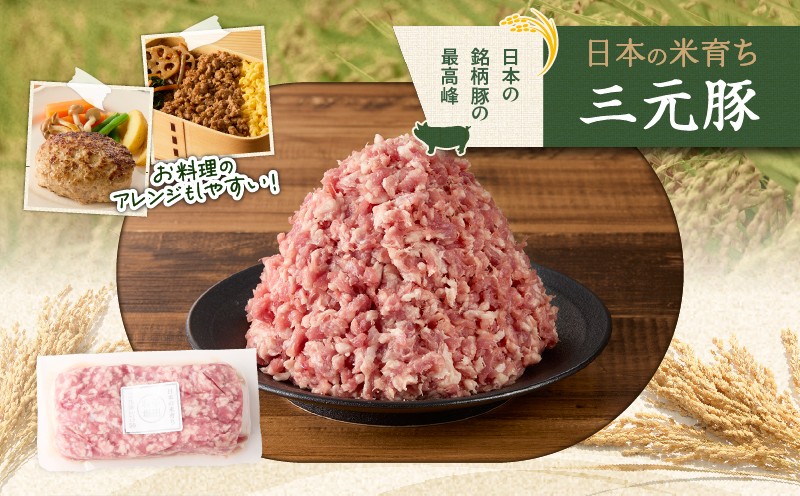 【全3回 毎月定期便】日本の米育ち平田牧場三元豚ひき肉 600g 定期便 定期 肉 お肉 にく 豚 豚肉 ブタ ぶた 三元豚
