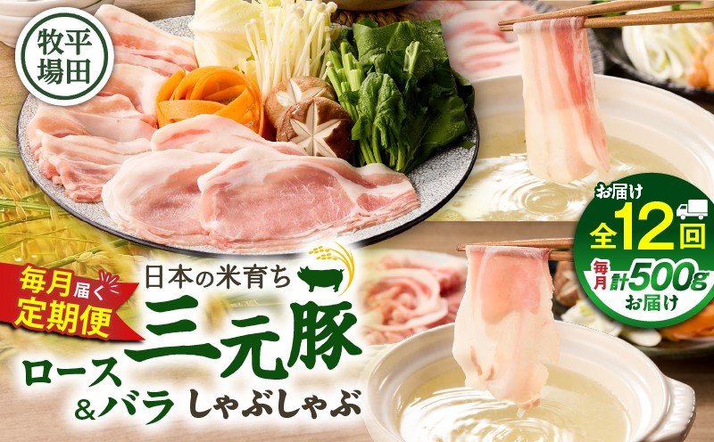 【全12回 毎月定期便】日本の米育ち平田牧場 三元豚ロース 250g・バラしゃぶしゃぶロース 250g 定期便 定期 肉 お肉 にく 豚 豚肉 ブタ ぶた 三元豚