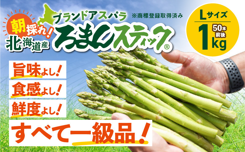 ロマンス農園 ろまんスティック Lサイズ 1kg アスパラガス 野菜 やさい Lサイズ 旨味 うま味 新鮮 やわらかい みずみずしい 糖度