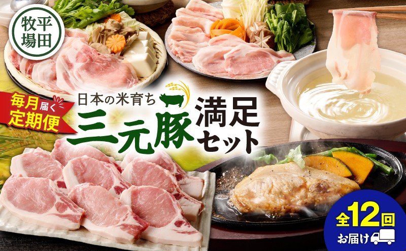 【全12回 毎月定期便】日本の米育ち平田牧場の満足セット！ 定期便 定期 肉 お肉 にく 豚 豚肉 ブタ ぶた 三元豚