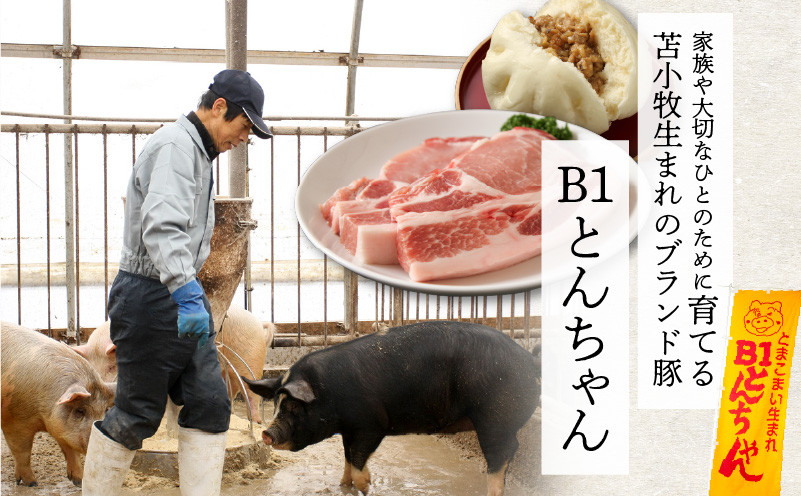 【10営業日以内に発送】B1とんちゃんの豚まん 9個、ウィンナーソーセージ 4袋セット 豚まん ぶたまん ウインナー ソーセージ ウインナーソーセージ B1とんちゃん 豚肉 惣菜 総菜 軽食