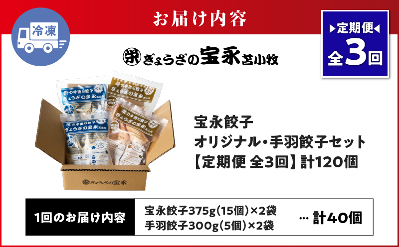 【定期便・全3回 毎月】手包み餃子 ぎょうざの宝永 手羽餃子40個セット（宝永餃子15個入×2袋・手羽餃子5個入×2袋） 定期便 定期 惣菜 総菜 餃子 ぎょうざ ギョウザ 手羽餃子 冷凍餃子 冷凍