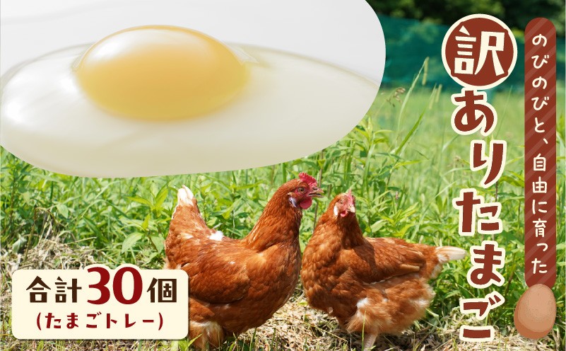 訳ありたまご　（たまごトレー） 訳あり卵 訳あり 卵 たまご 卵かけごはん HokkaidoGreenCompany ふるさと納税 北海道 苫小牧市 おすすめ