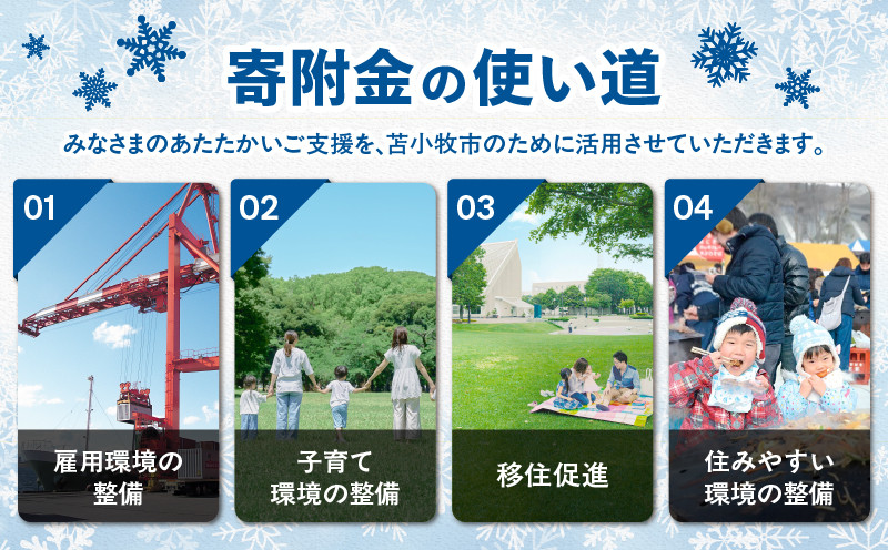 北海道苫小牧市応援寄附金（返礼品なし）1,000円 寄附 寄付 寄附金 寄付金 応援寄附金 応援寄付金 返礼品なし 雇用環境の整備 子育て環境の整備 移住促進