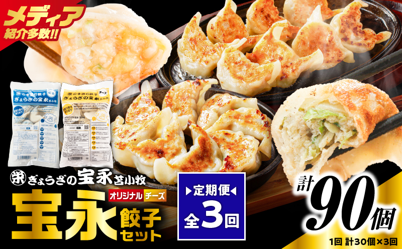 【定期便・全3回 毎月】手包み餃子 ぎょうざの宝永 チーズ餃子30個セット（宝永餃子15個入×1袋・チーズ餃子15個入×1袋） 定期便 定期 惣菜 総菜 餃子 ぎょうざ ギョウザ 冷凍餃子 冷凍