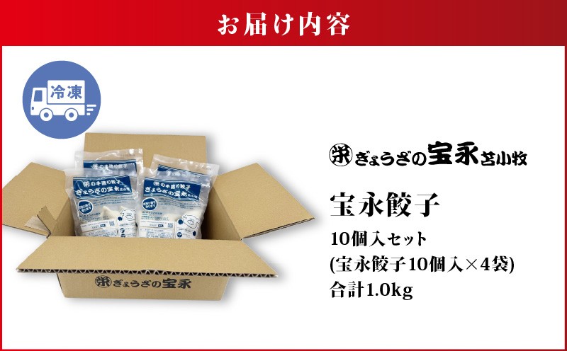 ぎょうざの宝永 宝永餃子10個入セット（宝永餃子10個入×4袋）合計1.0kg 惣菜 総菜 ギョウザ 餃子 冷凍餃子 焼き餃子 水餃子 おかず おつまみ つまみ