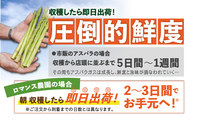 ロマンス農園 ろまんスティック 2Lサイズ 2kg アスパラガス 野菜 やさい 2Lサイズ 旨味 うま味 新鮮 やわらかい みずみずしい 糖度