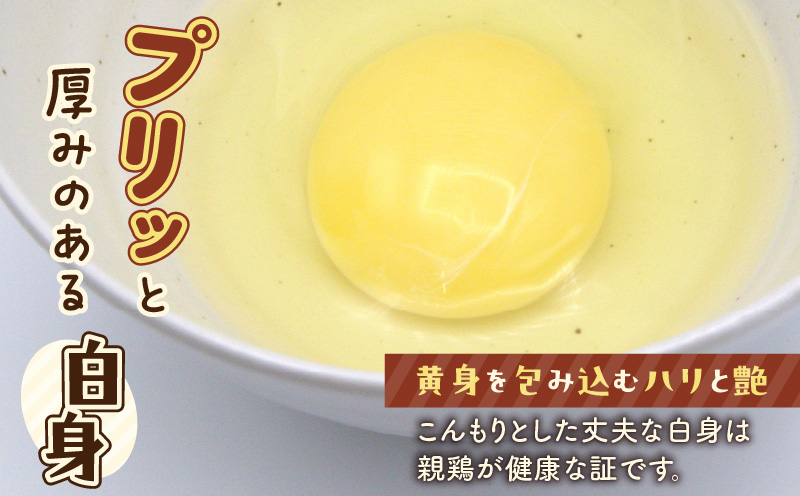 【全3回定期便】訳ありたまご　（たまごトレー） 定期便 定期 訳あり卵 訳あり 卵 卵かけごはん HokkaidoGreenCompany ふるさと納税 北海道 苫小牧市
