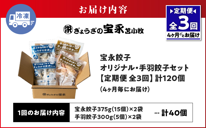 【定期便・全3回 4ヶ月毎】手包み餃子 ぎょうざの宝永 手羽餃子40個セット（宝永餃子15個入×2袋・手羽餃子5個入×2袋） 定期便 定期 惣菜 総菜 餃子 ぎょうざ ギョウザ 手羽餃子 冷凍餃子 冷凍