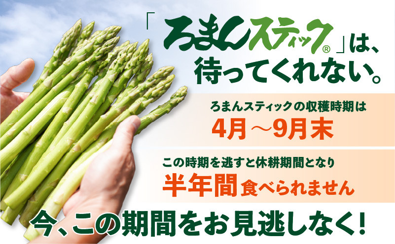 ロマンス農園 ろまんスティック 2Lサイズ 10kg アスパラガス 野菜 やさい 2Lサイズ 旨味 うま味 新鮮 やわらかい みずみずしい 糖度