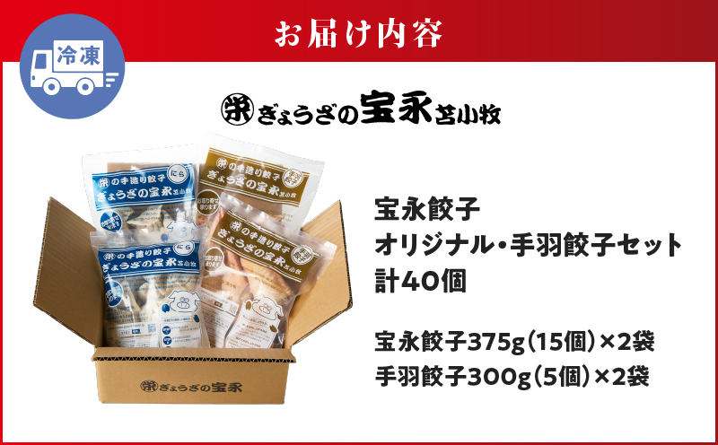 手包み餃子 ぎょうざの宝永 手羽餃子40個セット（宝永餃子15個入×2袋・手羽餃子5個入×2袋） 惣菜 総菜 餃子 ぎょうざ ギョウザ 手羽餃子 冷凍餃子 冷凍 豚 ブタ