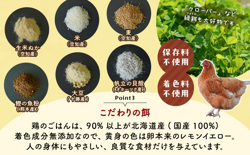【全3回定期便】訳ありたまご　（たまごトレー） 定期便 定期 訳あり卵 訳あり 卵 卵かけごはん HokkaidoGreenCompany ふるさと納税 北海道 苫小牧市