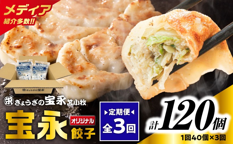 【全3回定期便（毎月）】宝永餃子10個入セット（宝永餃子10個入×4袋）合計1.0kg 定期便 定期 惣菜 総菜 ギョウザ 餃子 冷凍餃子 焼き餃子 水餃子 おかず