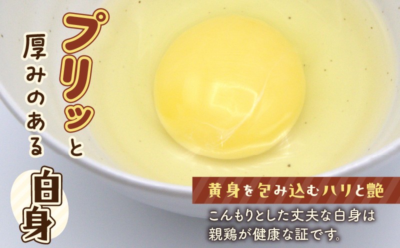 訳ありたまご　（たまごトレー） 訳あり卵 訳あり 卵 たまご 卵かけごはん HokkaidoGreenCompany ふるさと納税 北海道 苫小牧市 おすすめ