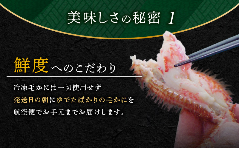 【14営業日以内に発送】【ゆでたて毛かに 約450〜550g×2尾】 カニ 蟹 かに 海産物 魚貝類 魚介類 甲殻類 毛ガニ 毛がに 毛蟹