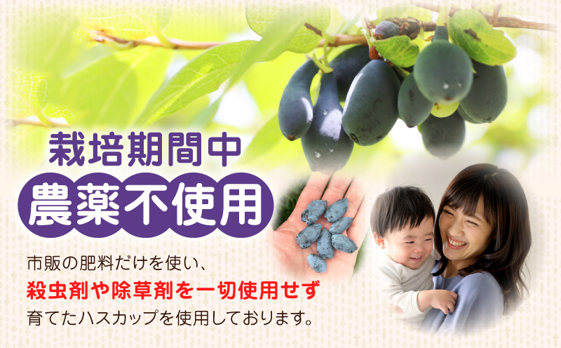 カナダ産 苫小牧市民還元 ハスカップジャム 435g（1瓶） ハスカップ ジャム スイーツ フルーツ 食パン ヨーグルト トースト クラッカー 甘い