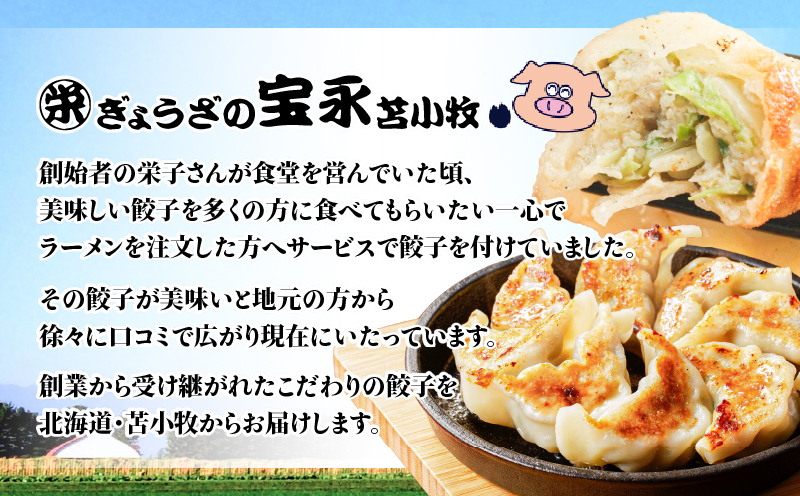 【定期便・全6回 毎月】手包み餃子 ぎょうざの宝永 チーズ餃子60個セット（宝永餃子15個入×2袋・チーズ餃子15個入×2袋） 定期便 定期 惣菜 総菜 餃子 ぎょうざ ギョウザ 冷凍餃子 冷凍