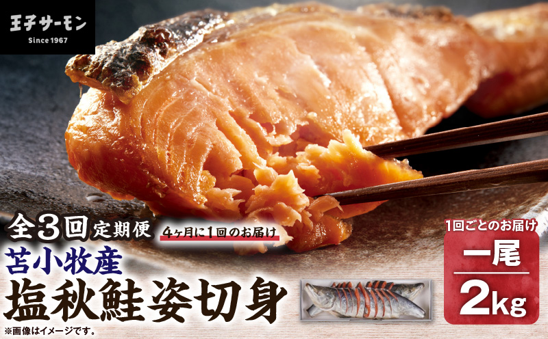 【全3回定期便（4ヶ月毎）】【王子サーモン】塩秋鮭姿切身（1尾） 2kg 魚 魚介 惣菜 総菜