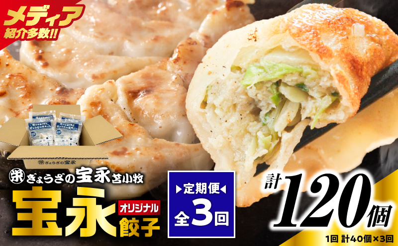 【定期便・全3回 毎月】手包み餃子 ぎょうざの宝永 宝永餃子40個セット（宝永餃子10個入×4袋） 定期便 定期 惣菜 総菜 ギョウザ 餃子 冷凍餃子 焼き餃子 水餃子 おかず