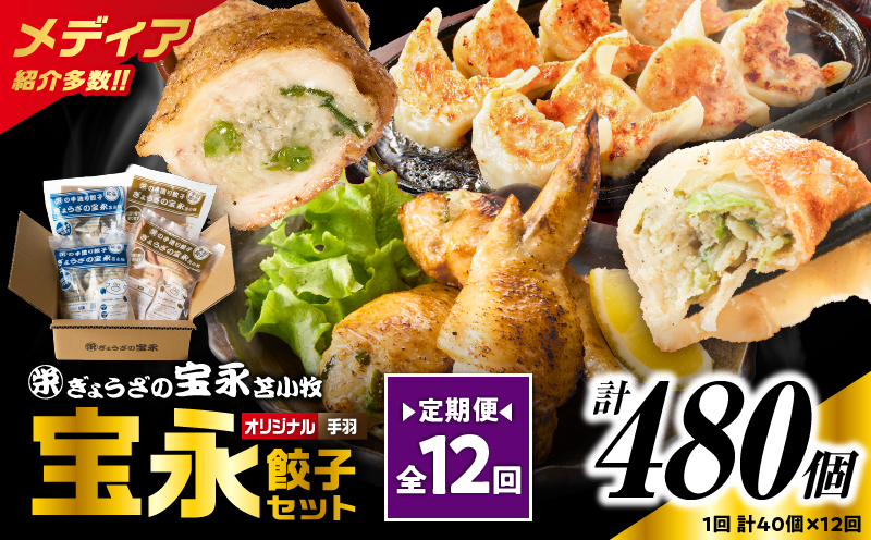 【定期便・全12回 毎月】手包み餃子 ぎょうざの宝永 手羽餃子40個セット（宝永餃子15個入×2袋・手羽餃子5個入×2袋） 定期便 定期 惣菜 総菜 餃子 ぎょうざ ギョウザ 手羽餃子 冷凍餃子 冷凍
