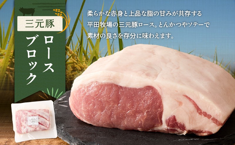 【平田牧場】三元豚ロースブロック 600g 肉 お肉 にく 豚 豚肉 ブタ ぶた 三元豚 ロースブロック 黒豚